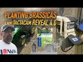 Deer Season Prep Planting Brassicas Hanging Trail Cams REVEAL 4 0