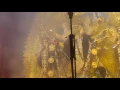 Download Lagu Navami Aarti (2016) at Maddox Square, Kolkata
