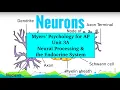 AP Psychology Myers Unit 3A