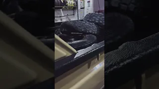 Toyota V6 Land Cruiser Dubai Libya Iraq Surya Palestine TOYOTA Care V6 4 