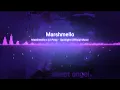 Marshmello x Lil peep - Spotlight (official music)[Magic Music]