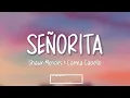 Shawn Mendes, Camila Cabello - Senorita (Lyrics)