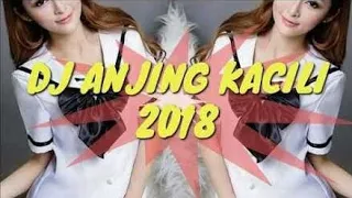 Download Best Song DJ | anjing kacili | tetew MP3