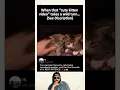 When that cute kitten takes a wild turn