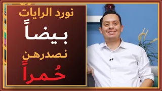 شرح معلقة عمرو بن كلثوم 3 أبا هند فلا تعجل علينا نورد الرايات بيضا ونصدرهن حمرا 