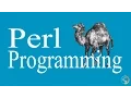 Perl Programming - Looping with while statements