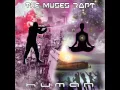 Download Lagu The Muses Rapt - Human [Full album]