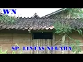 Download Lagu GRATISSS......!!!!!! SUARA WALET LINTAS NEGARA, DI JAMIN RESPON.