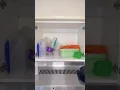 The FASTEST Way to Declutter Your Kitchen with Flat Stacks
