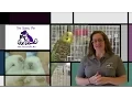 Introduction To TheSocialPet Net
