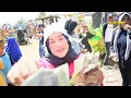 Download Lagu PENGANTEN BARU - SINGA DANGDUT PUTRA PAI MUDA | BLANAKAN | Bpk. Rosidi (Doteng) - Ibu Umsari