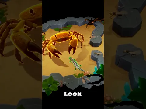 Lizard Stolen During a Fierce Fight!