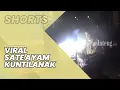 Download Lagu Video Viral Sate Ayam Kuntilanak Pak Rony Semarang, Teriakannya Antimainstream