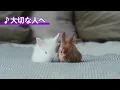 【自律神経を整える】心と気持ちが深く安らぎ、おちつく音楽【テンダートーン】