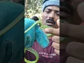 Download Lagu green Vine snake mildly venomous To see what happened next, watch the upcoming long video.