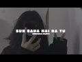 Download Lagu Sun Raha Hai Na Tu (Slowed+Reverb+lofi), Ankit Tiwari, Nirvana Radio