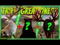 Can We Get 3 DIFFERENT Great Ones AT ONCE Call of the wild