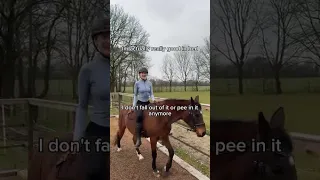 It S All About Improvements Livingoregon Country Horse Car 