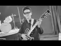 Lagu Roy Orbison – There Won't Be Many Coming Home