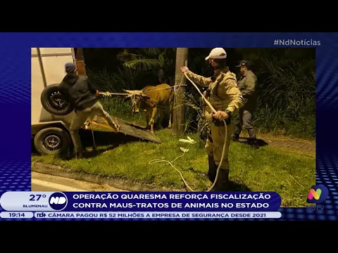 Operação Quaresma reforça fiscalização contra maus-tratos de animais no estado