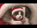 Download Lagu Sia - Snowman ( sped up )