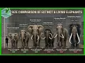 Elephant vs Mammoth Size Comparison LIVING EXTINCT 2026