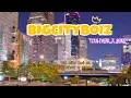 Download Lagu BIGCITYBOY - TOULIVER x BINZ { NTP LYRICS}