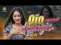 Download Lagu DJ Ojo Nangis - Safira Inema (Official Music Video)