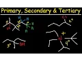 Primary Secondary Tertiary Quarternary Hydrogen and Carbon Atoms