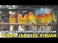 Lagu MENGEJUTKAN !! DULU BELI DIHARGA JUTAAN SEKARANG CUMA 150 RIBUAN DI PASAR BURUNG PRAMUKA 