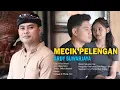 Download Lagu MECIK PELENGAN - Ardy Suwarjaya (Video Music Official)