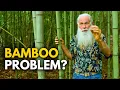 The Secret to Killing Bamboo | NO Chemicals or Machines