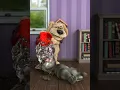 Download Lagu Untitled video teleco e teco pintinho amarelinho cantigas de roda