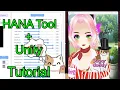 Hana Tool Unity Tutorial Testing With