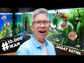 Download Lagu WAJAH BARU DUNIA IKAN AIR TAWAR TMII!!