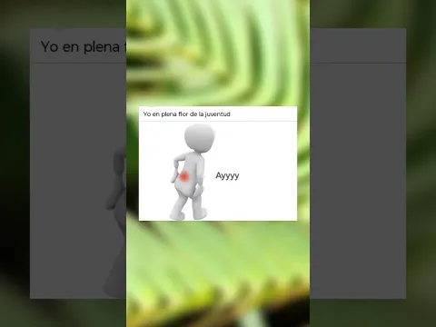 memes random xd