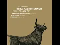 Fritz Kalkbrenner   Wingman
