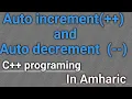 Auto increment decrement -