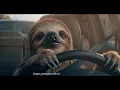 Progressive Commercial 2025 Drive Like an Animal Ad Review