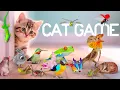 Download Lagu CAT GAMES 🐾3D Game for Cats to Watch – Ultimate CAT TV with Birds, Mice \u0026 More! 😻 4K60FPS
