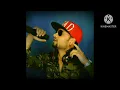 Download Lagu Balam - Kd Desirock | Ashu Twinkle | Kashika Sisodia | New Haryanvi Video Songs 2023