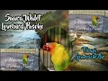 Download Lagu Masteran Walet Lovebird Pusoko Mix Gemericik Air.. Terapi Konslet anti stress