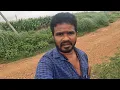 Download Lagu ఆ పిల్ల ని నేను ఎందుకు పెళ్లిచేసుకొక పోవడానికి కారణం ఇదే.! లైఫ్ లో పెళ్లి వద్దు అనిపించింది.!