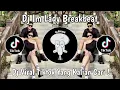 Download Lagu DJ IM LADY BREAKBEAT VIRAL TIKTOK TERBARU 2024 YANG KALIAN CARI !