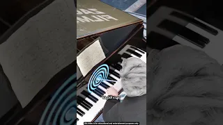 كيف أل ف بيتهوفن الموسيقى رغم أنه كان أصم ا 