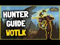 Wotlk Hunter Beginner Guide 3 3 5
