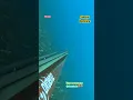 Download Lagu Bu kadar da zor olamazsın🤦#spearfishing #holdyourbreath #zıpkıncı #keşfet #dentice #sinarit #ıskacı