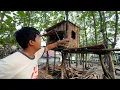 Download Lagu PROYEK RUMAH POHON \u0026 FLYING FOX HAMPIR SELESAI ! - Ternyata begini rasanya cita cita bisa terpenuhi😇