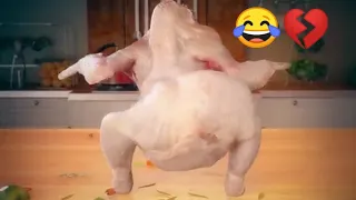 دجاجة ترقص على اغنية البنط العريض اه لقيط طبطبة 