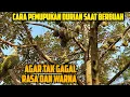 Lagu PEMUPUKAN DURIAN SAAT BERBUAH AGAR NGGAK GAGAL RASA ⁉️ SELEKSI BUAH BIAR POHON TETAP AMAN💯‼️